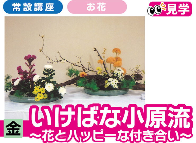いけばな小原流 ～花とハッピーなつき合い～